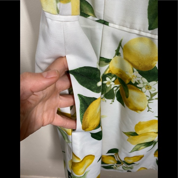 NWT Adrianna Papell Lemon Print A-Line Dress - Picture 6 of 12